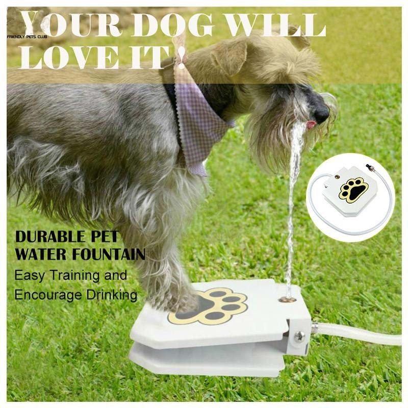 Pet Intelligent Automatic Water Dispenser