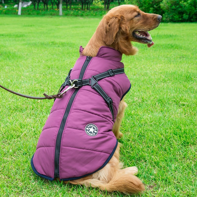 Gilet pour animaux de compagnie intégré au dos et à la poitrine